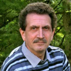 Boris L Moroz, Speaker at Chemical Engineering Conferences