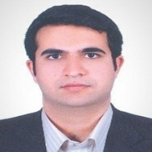 Hesam Maleki, Speaker at Chemical Engineering Conferences