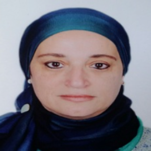 Rasha Mohamed El Nashar, Speaker at Chemical Engineering Conferences