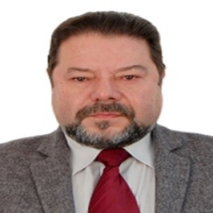 Vladimir Ivanovich Parfenyuk, Speaker at Catalysis Conference
