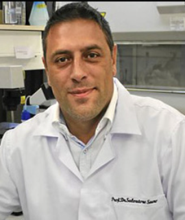Salvatore Sauro, Speaker at Dentistry Conferences