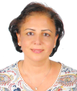 Sherine Adel Nasry, Speaker at Dental Conferences